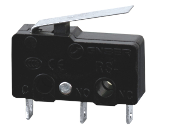 RS-5GL lever type mini micro switch